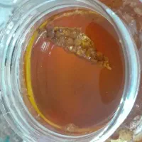 عسل خالص طبیعی ارگانیک|خوردنی و آشامیدنی|رشت, منظریه|دیوار