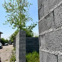 زمین ایده ال|فروش زمین و ملک کلنگی|رشت, بازار|دیوار