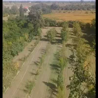 فروش باغ ۳۱۰۰ متری در گلوگاه متری ۶۰۰ الی ۷۰۰