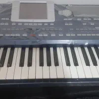 ارگ پیا ۸۰۰ سالم|پیانو، کیبورد، آکاردئون|پرند, فاز ۶|دیوار