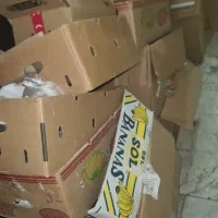 کارتن اساس کشی