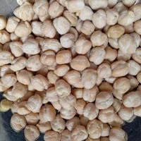 نخود ب مقدار100کیلو قیمت 130