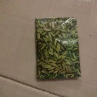 خلال پسته