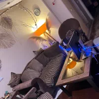 مبل خانگی|مبلمان خانگی و میز عسلی|تهران, سردارجنگل|دیوار