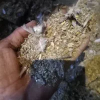 فضل مرغ واکفتر|خدمات باغبانی و درختکاری|اصفهان, حصه شمالی|دیوار