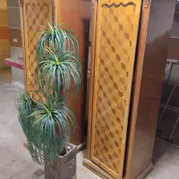 نخل مصنوعی سالم