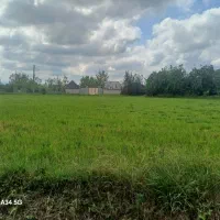 فروش خانه ویلایی ۹۰ متری ۲ خوابه در سعدی (تختی)|فروش خانه و ویلا|رشت, سعدی (تختی)|دیوار