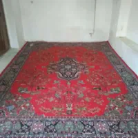 فرش فورشی نقد|فرش|نقده, |دیوار