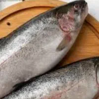 فروش ماهی قزل الا زنده کنار استخر در حضور شما