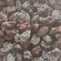 انجیر ومویز سیاه|خوردنی و آشامیدنی|شیراز, شهرک مدرس|دیوار
