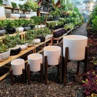 گلدان سفالی  با پایه ی چوپی