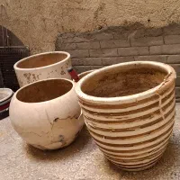 گلدان سفالی و فانتزی|گل و گیاه طبیعی|تهران, صد دستگاه|دیوار