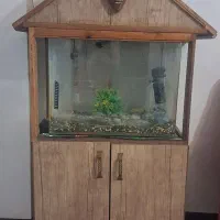 فردش اکواریوم|ماهی|تهران, مشیریه|دیوار