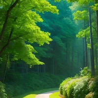 راهنمایی بفرمایید
