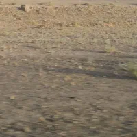 اجاره منفی یک یا زیرزمین ۱۲۰ متری