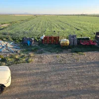 نگهبانی چاه کشاورزی