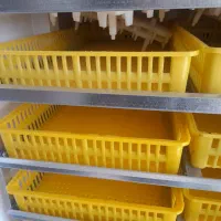 دستگاه جوجه کشی ۱۸۵۰ تایی|لوازم جانبی حیوانات|شهرکرد, |دیوار