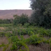 باغ-کشاورزی-و-ساخت-ملک