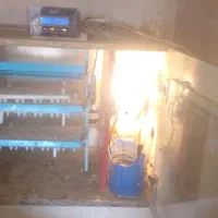 دستگاه جوجه کشی 126تایی|ماشینآلات صنعتی|کاشمر, |دیوار