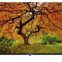 تلوزیون شهاب 58 اینچ مدل UF 5411 Ultra HD 4K