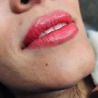 آموزش تکنیک شید لب. تینت کار روی لبهای تیره|خدمات آموزشی|بندرعباس, |دیوار