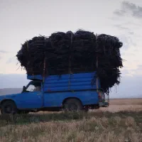 ضایعات نوار تیپ قطره ای