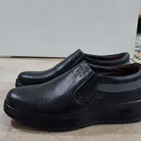 کفش چرم|کیف، کفش، کمربند|بندر کنگان, |دیوار