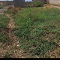 زمین-در-محرزی