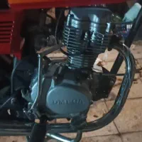 پرنده|پرنده|سوسنگرد, |دیوار