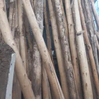 چوب خشک برای سقف (تیر چوبی)