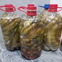 خیارشور