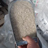 برنج سرلاشه فوق معطر تعداد محدود