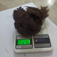 خریدار اصلی مو بانوان