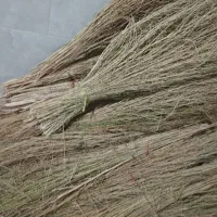 جاروشیرازی