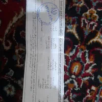مدارک گم کردم