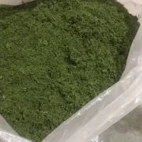 سلام خدمت دوستان گلم انواع سبزی های خشگ تازه