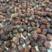 خرمای خشک خاصویی درجه یک . خرید مستقیم از باغدار|خوردنی و آشامیدنی|تهران, هلال احمر|دیوار