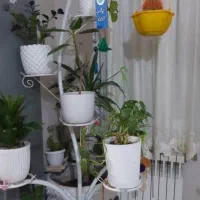 یسری وسایل خانه|تلویزیون و پروژکتور|پاکدشت, شهرک امام رضا|دیوار