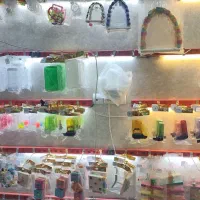 فروشگاه تخصصی لوازم طوطی و پرندگان