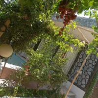 اجاره باغ ویلا