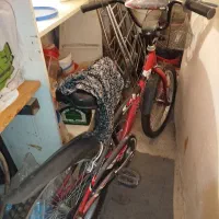 دوچرخه سالم عظیمیه کرج|دوچرخه، اسکیت، اسکوتر|کرج, عظیمیه|دیوار