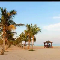 ترانسفر وان و تور