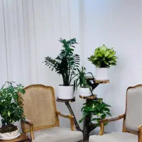 خانه فروشی/تک برگ