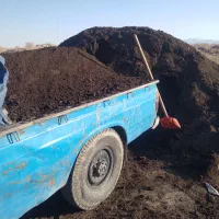 کودحیوانی خاک باغچه تحویل در محل