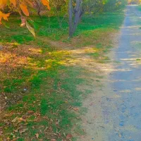 عکسی برداری.|خدمات پذیرایی، مراسم|بروجرد, |دیوار