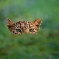 از الان ریاضی و شروع کن.چرا شب امتحان