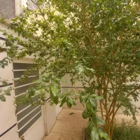 اجاره مغازه بازار سرپوش