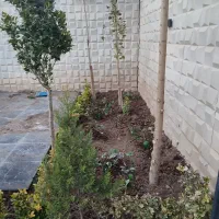 انواع خدمات باغبانی و فضای سبز|خدمات باغبانی و درختکاری|رامجین, |دیوار