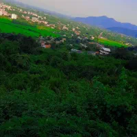 مسافر برای تهران کرج رشت برای فردا