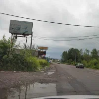 فروش-زمین-باغی